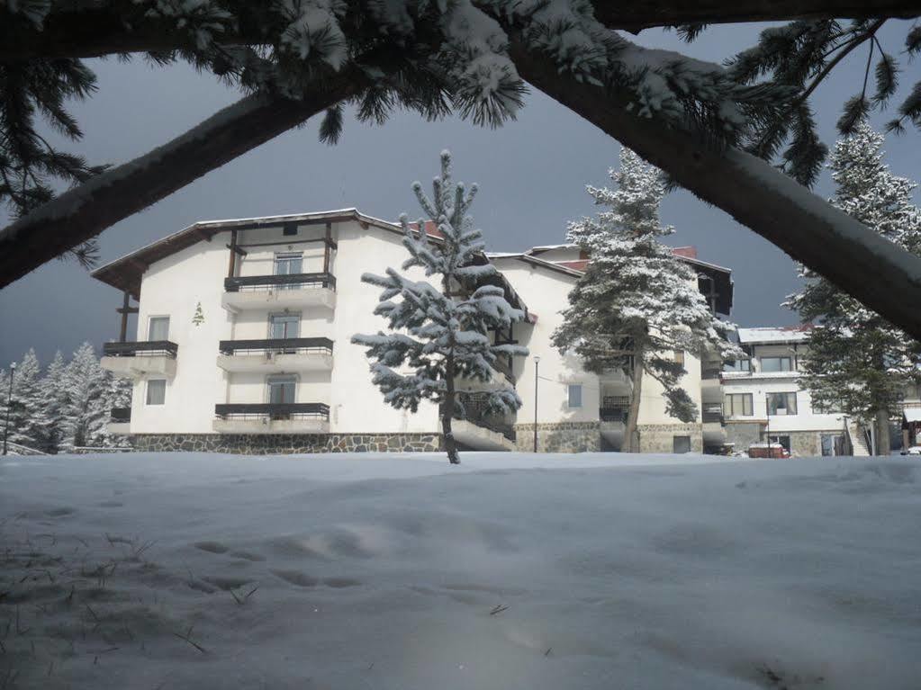Bor Hotel Belitsa  Kültér fotó