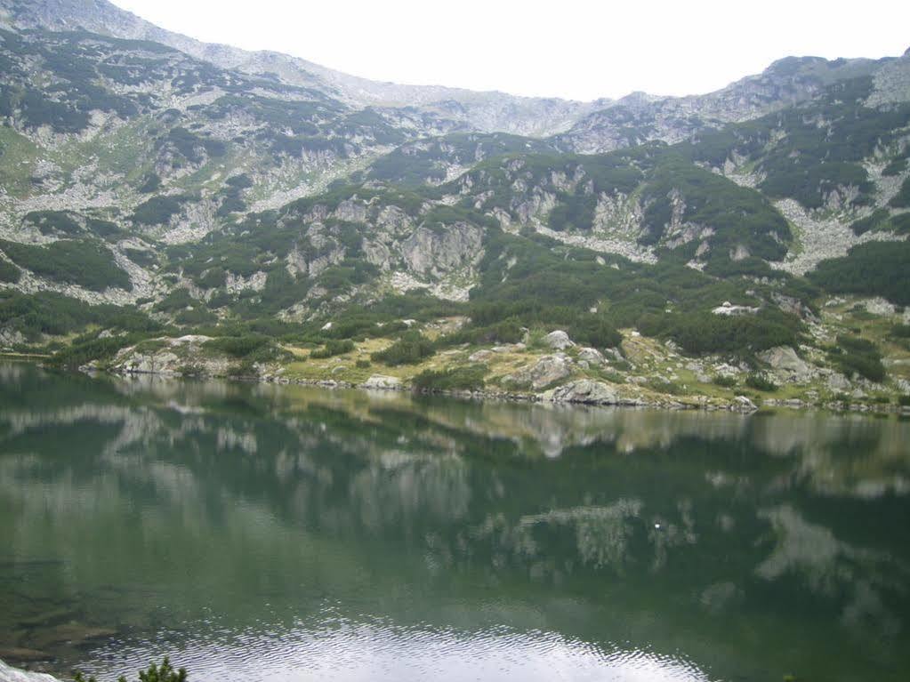 Bor Hotel Belitsa  Kültér fotó