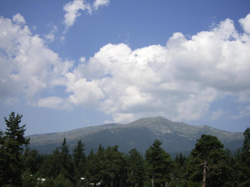 Bor Hotel Belitsa  Szoba fotó