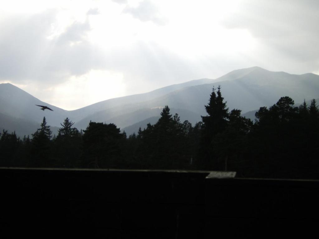 Bor Hotel Belitsa  Szoba fotó